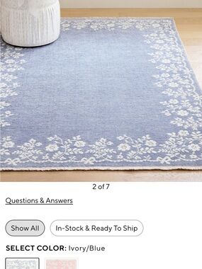 Pottery Barn Teen loveshackfancy Blue Rug 3x5